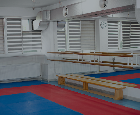 Sală pentru antrenamente de karate și pilates la clubul Global Fitness, Țicani